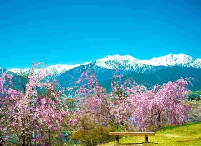 股票复盘三只涨停板(三个涨停板的股票)